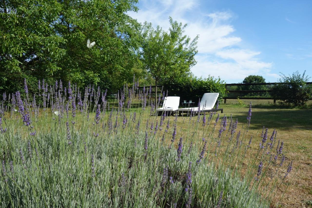Le Cottage Du Coudray, Gite Avec Chalet Sauna La Fresnaie-Fayel Exterior photo